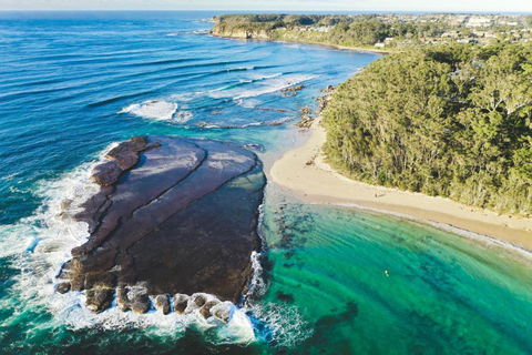 Mollymooks Tee To Sea 19 Buchan Street - Your Accommodation 1