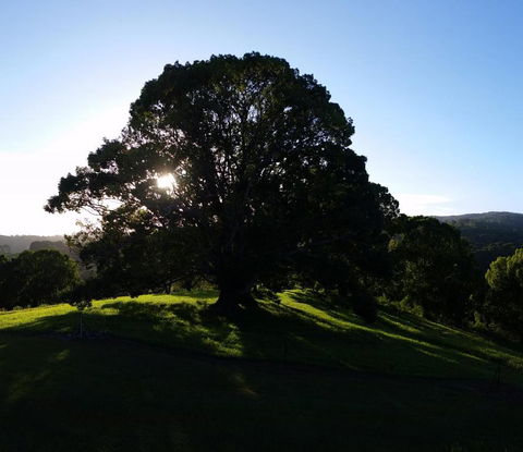Valleydale Cottage - Your Accommodation 1