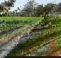 Renovated Cottage Aberdare Hunter Valley