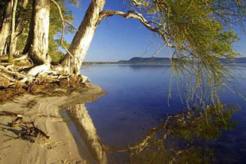 Mimosa - Your Accommodation 1