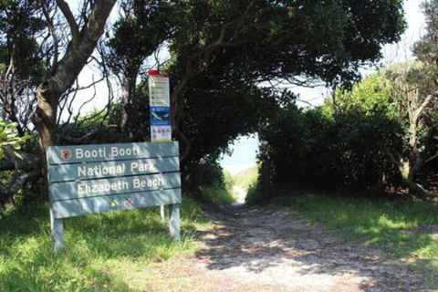 Mimosa - Your Accommodation 3