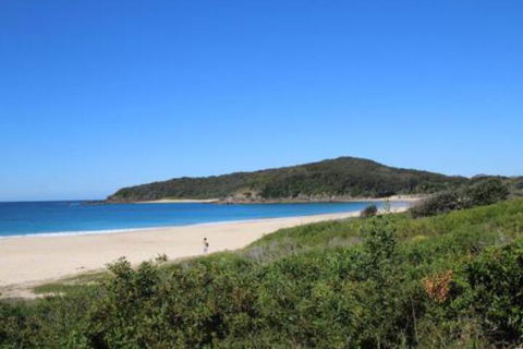 Mimosa - Your Accommodation 4