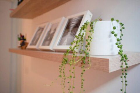 Trendy Modern 2BD Apartment Close To Beach & City - Your Accommodation 0