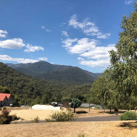 Alpine Stag Lodge House - Your Accommodation 5