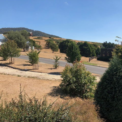 Alpine Stag Lodge House - Your Accommodation 6