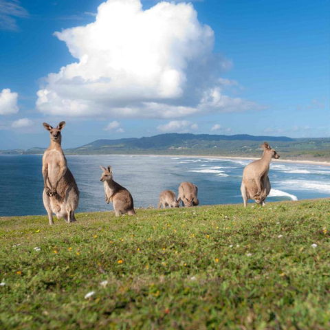 FAMILY ISLAND GETAWAY BEACHFRONT APARTMENT - Your Accommodation 4