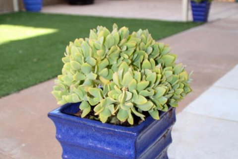 Sunset Retreat - Your Accommodation 3