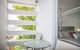 Apartment 9 - thumb 2