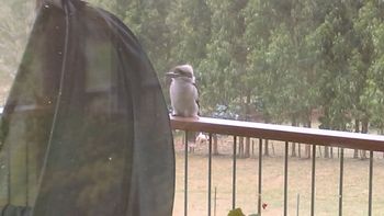 Deloraine Comfort - Your Accommodation 2