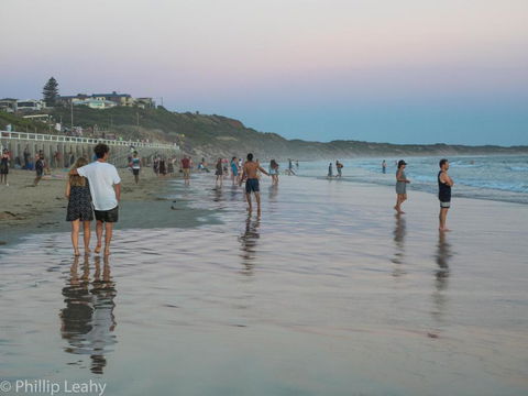 Alices Palace 2 Minute Walk To Lifeguard Patrolled Surf Beach - Your Accommodation 4