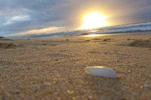 Eagles Loft - Your Accommodation 6