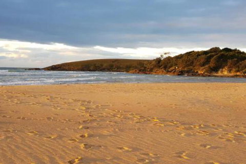 Eagles Loft - Your Accommodation 5