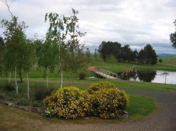 Buttercup Cottage & Private Apartment - Your Accommodation 3