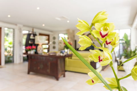 Alaya Verde - Your Accommodation 1