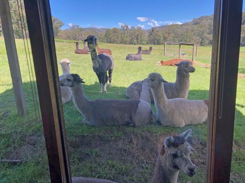 Valley Farm Vineyard Cottages - Your Accommodation 2