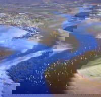 Dolphin Waters Tin Can Bay