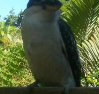 Tropic Oasis Holiday Villas