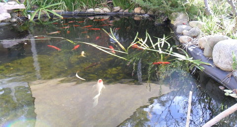 Settlement Motor Inn, Deniliquin - Your Accommodation 3