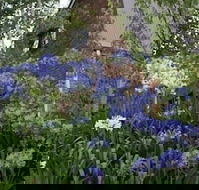 Yallambee - Your Accommodation