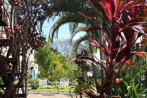 Asylum Cairns Hostel - Your Accommodation 3