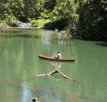 Figtree Getaway - Your Accommodation