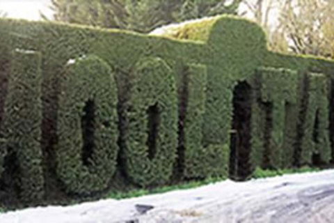 Mooltan House-hepburn Springs - Your Accommodation 0