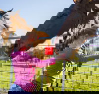 Freshwater Creek Cottages and Farm Stay