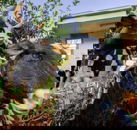 Big4 Shepparton Park Lane - Your Accommodation