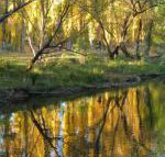 On The Banks