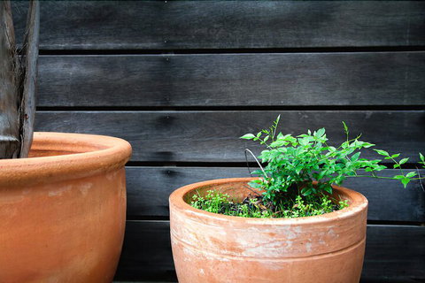 Perricoota Vines Retreat - Your Accommodation 3