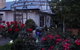 Bowral Road Bed And Breakfast - thumb 0