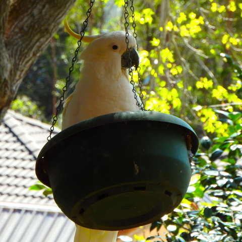 Bowral Road Bed And Breakfast - Your Accommodation 1
