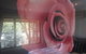 Bowral Road Bed And Breakfast - thumb 5