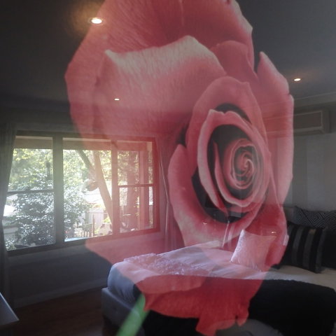 Bowral Road Bed And Breakfast - Your Accommodation 5