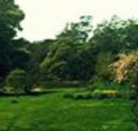 Birdwing Bed  Breakfast Weegena