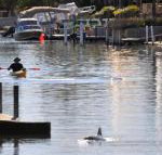 Sunsea Waterfront South Yunderup - Your Accommodation