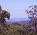 Ravensbourne Escape Cedar Lodge - Your Accommodation