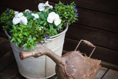 Mornington Bed And Breakfast - Your Accommodation 1