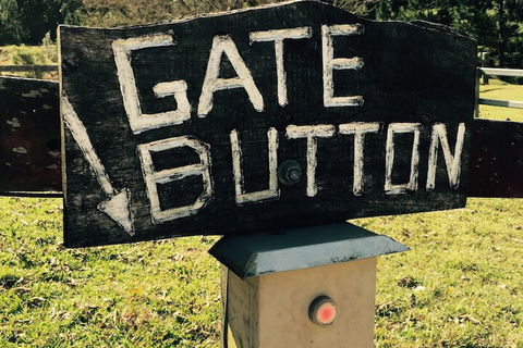 Ingleside Stud Farm - Your Accommodation 5