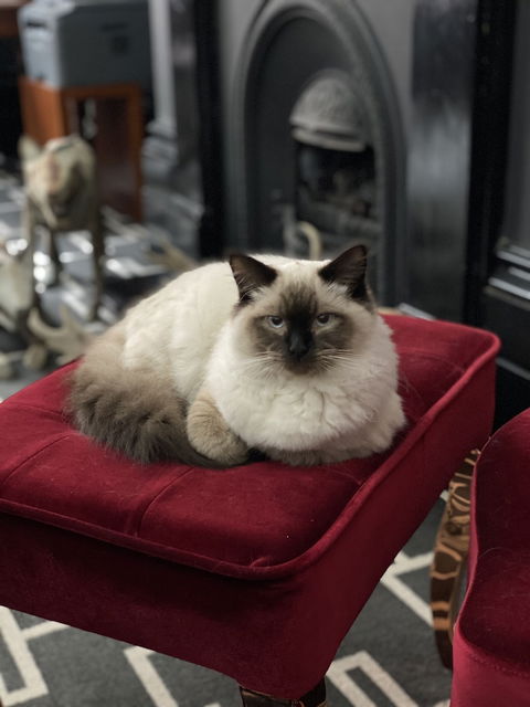 Macquarie Manor - Your Accommodation 5