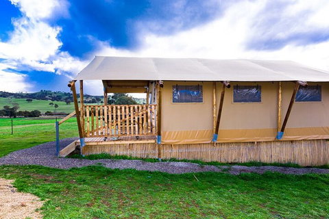 Hillview Farmstay - Your Accommodation 3