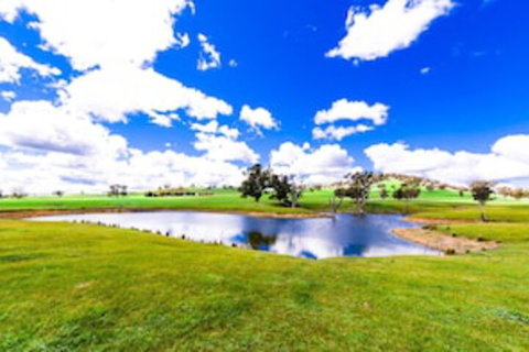 Hillview Farmstay - Your Accommodation 0