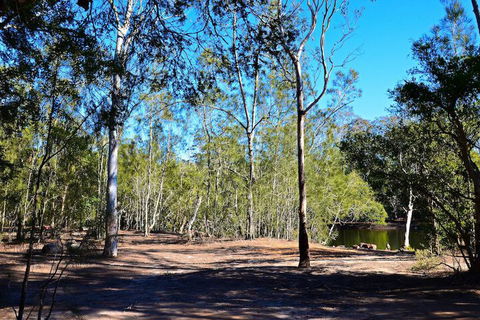 Jervis Bay Cabins & Hidden Creek Campsite - Your Accommodation 1