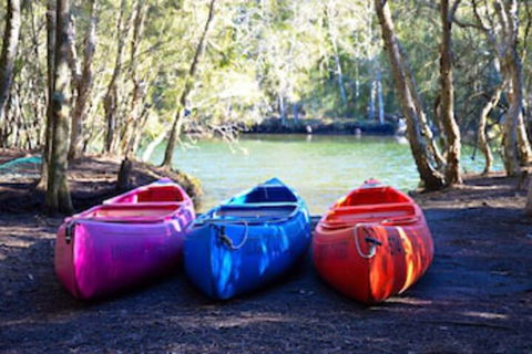 Jervis Bay Cabins & Hidden Creek Campsite - Your Accommodation 0
