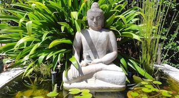 Vatu Sanctuary - Your Accommodation 4