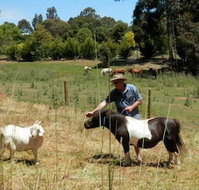 Country Cottages of Bridgetown - Your Accommodation