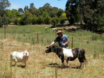 Country Cottages Of Bridgetown - Your Accommodation 0