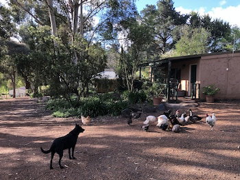 Country Cottages Of Bridgetown - Your Accommodation 1