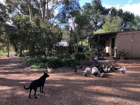 Country Cottages Of Bridgetown - Your Accommodation 4