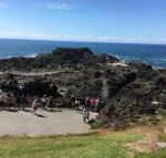 Sea Whispers - Your Accommodation